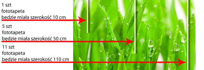 fototapeta na metry